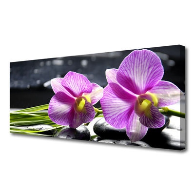 Tablou pe panza canvas Flori roz Floral