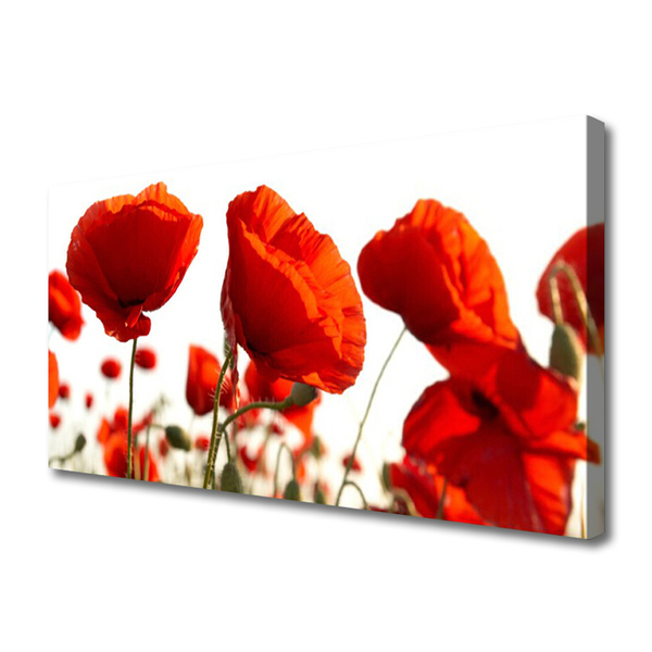 Tablou pe panza canvas Maci Floral Red