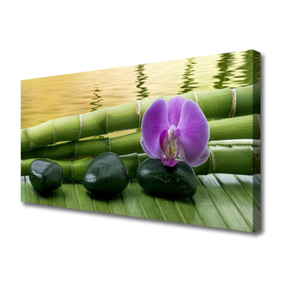 Tablou pe panza canvas Floare pietre de bambus Tulpini Floral Roz Negru Verde