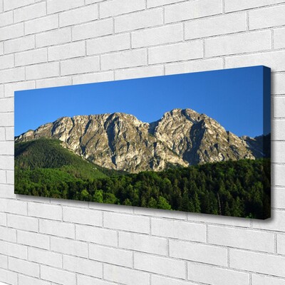 Tablou pe panza canvas Mountain Natural Pădurea Verde Gri