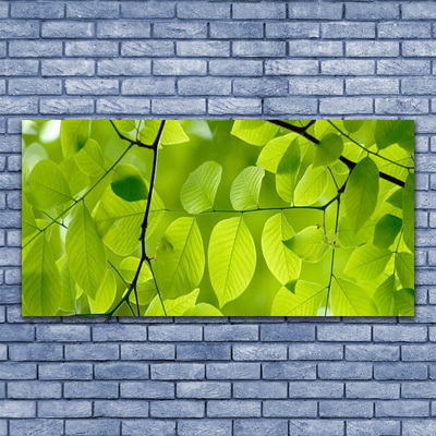 Tablou pe panza canvas Frunze Natura verde