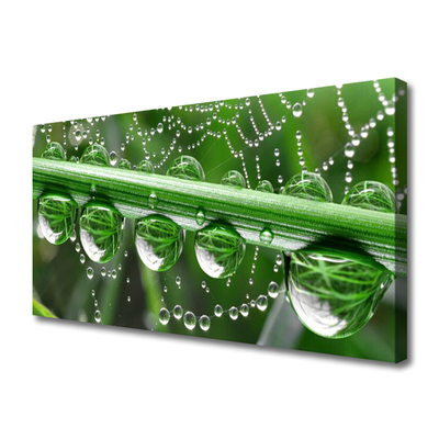 Tablou pe panza canvas Spider Web Dewdrops Floral alb