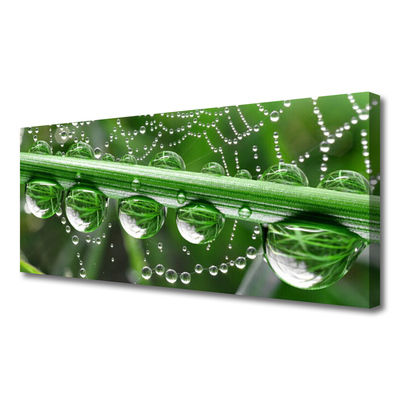 Tablou pe panza canvas Spider Web Dewdrops Floral alb