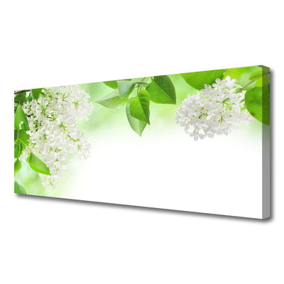 Tablou pe panza canvas Petale Floral Alb Verde