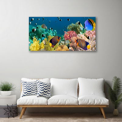 Tablou pe panza canvas Coral Reef Natura Multi