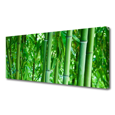 Tablou pe panza canvas Bamboo Peduncul Floral Verde