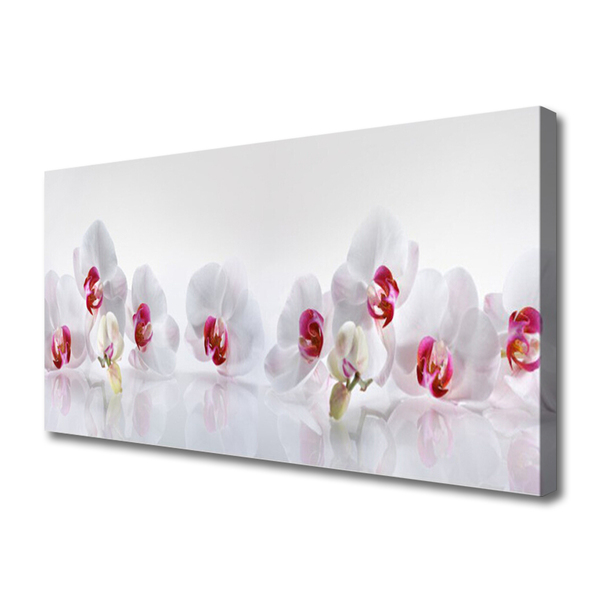 Tablou pe panza canvas Flori Floral Alb Roșu