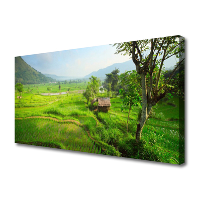 Tablou pe panza canvas Meadow Natura verde