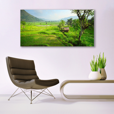 Tablou pe panza canvas Meadow Natura verde