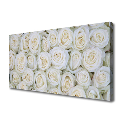 Tablou pe panza canvas Trandafiri Floral Alb