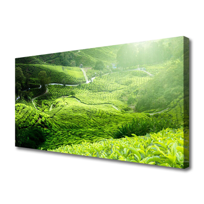 Tablou pe panza canvas Meadow Natura verde