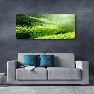 Tablou pe panza canvas Meadow Natura verde