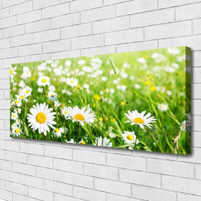 Tablou pe panza canvas Daisy Floral Alb Galben Verde