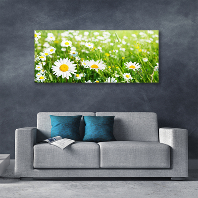 Tablou pe panza canvas Daisy Floral Alb Galben Verde