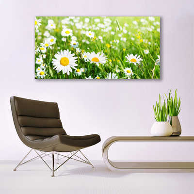 Tablou pe panza canvas Daisy Floral Alb Galben Verde