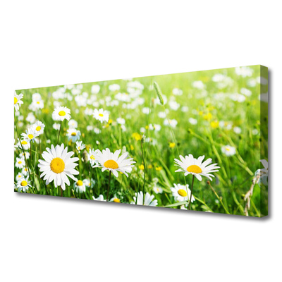 Tablou pe panza canvas Daisy Floral Alb Galben Verde