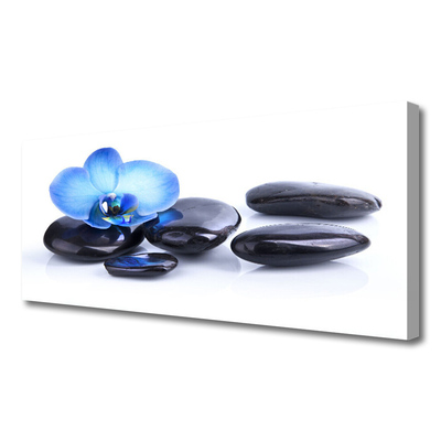 Tablou pe panza canvas Pietrele de flori Arta Albastru Negru