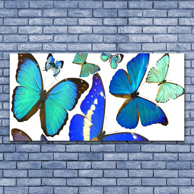 Tablou pe panza canvas Butterfly Natura Albastru Negru Violet