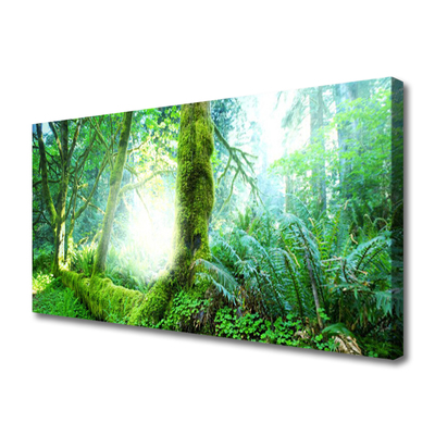 Tablou pe panza canvas Pădurea Verde Natura