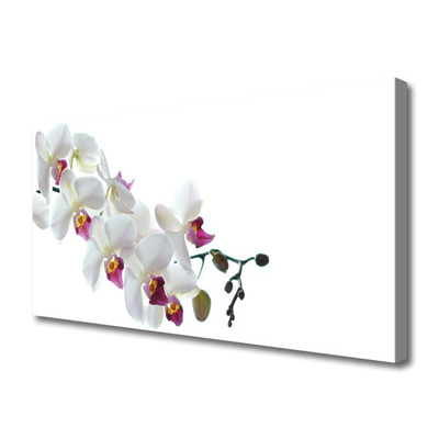 Tablou pe panza canvas Flori Floral alb