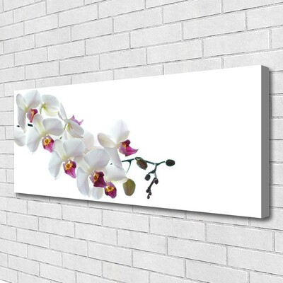 Tablou pe panza canvas Flori Floral alb