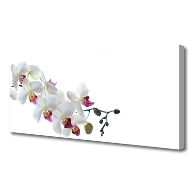 Tablou pe panza canvas Flori Floral alb