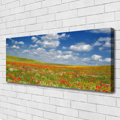 Tablou pe panza canvas Meadow Flori Peisaj Roșu Alb Verde