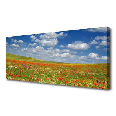 Tablou pe panza canvas Meadow Flori Peisaj Roșu Alb Verde