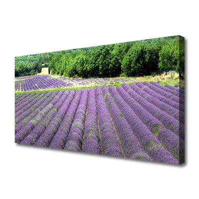 Tablou pe panza canvas Meadow Flori Natura Verde Violet