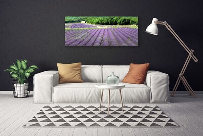 Tablou pe panza canvas Meadow Flori Natura Verde Violet