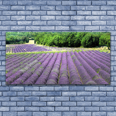 Tablou pe panza canvas Meadow Flori Natura Verde Violet