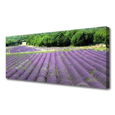 Tablou pe panza canvas Meadow Flori Natura Verde Violet