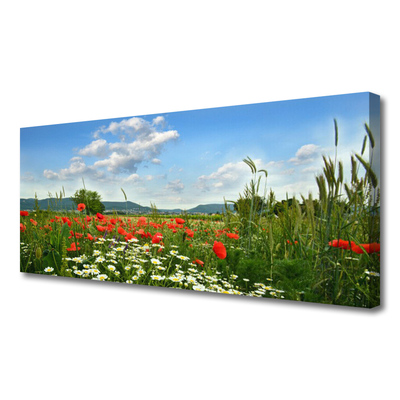 Tablou pe panza canvas Flori Meadow Natura Verde Roșu Alb