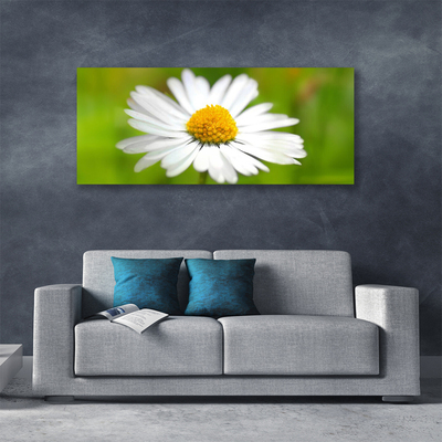 Tablou pe panza canvas Daisy Floral Galben Alb