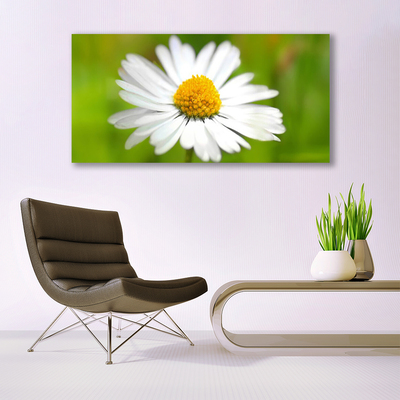 Tablou pe panza canvas Daisy Floral Galben Alb