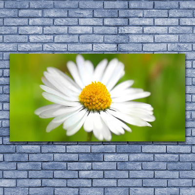 Tablou pe panza canvas Daisy Floral Galben Alb