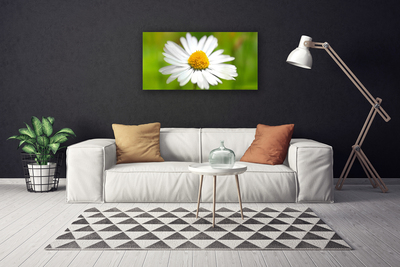 Tablou pe panza canvas Daisy Floral Galben Alb