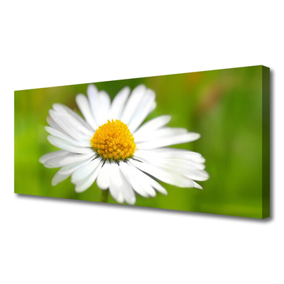 Tablou pe panza canvas Daisy Floral Galben Alb