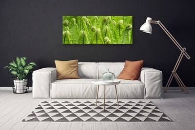 Tablou pe panza canvas Plante Floral Verde