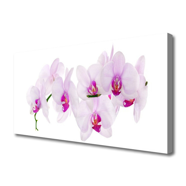 Tablou pe panza canvas Flori roz Floral