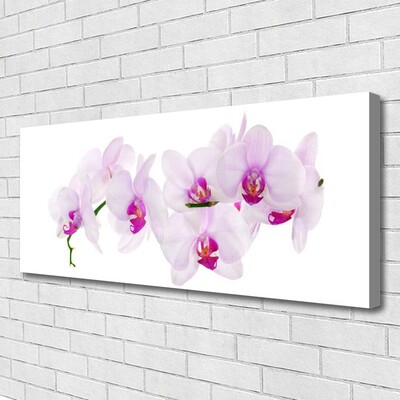 Tablou pe panza canvas Flori roz Floral