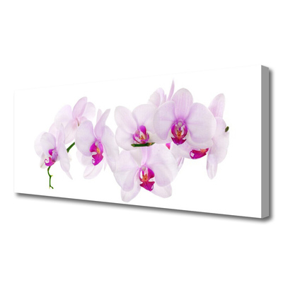 Tablou pe panza canvas Flori roz Floral