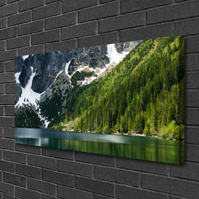 Tablou pe panza canvas Lacul Munții Peisaj Forestier Gri Alb Verde
