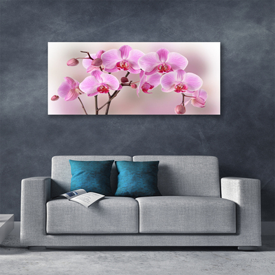 Tablou pe panza canvas Flori roz Floral