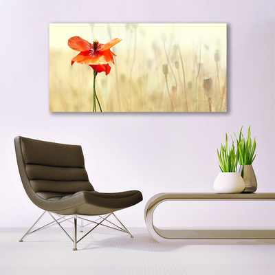 Tablou pe panza canvas Poppy Floral Roșu Verde