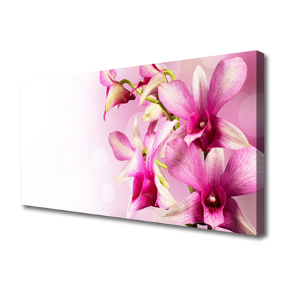 Tablou pe panza canvas Flori roz Floral