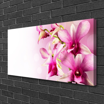 Tablou pe panza canvas Flori roz Floral