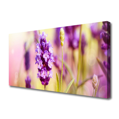 Tablou pe panza canvas Flori roz Floral