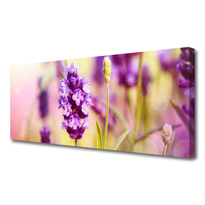 Tablou pe panza canvas Flori roz Floral