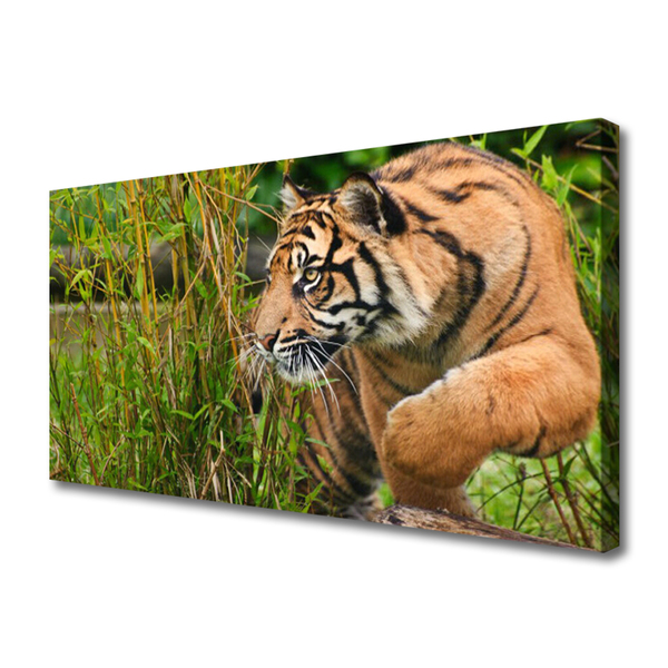 Tablou pe panza canvas Tigru Animale Maro Negru